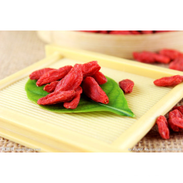 Ningxia seca Goji Berry suministro